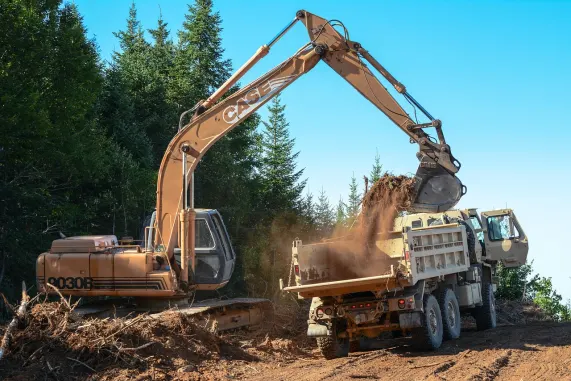 BetMotion Kasino Tuki